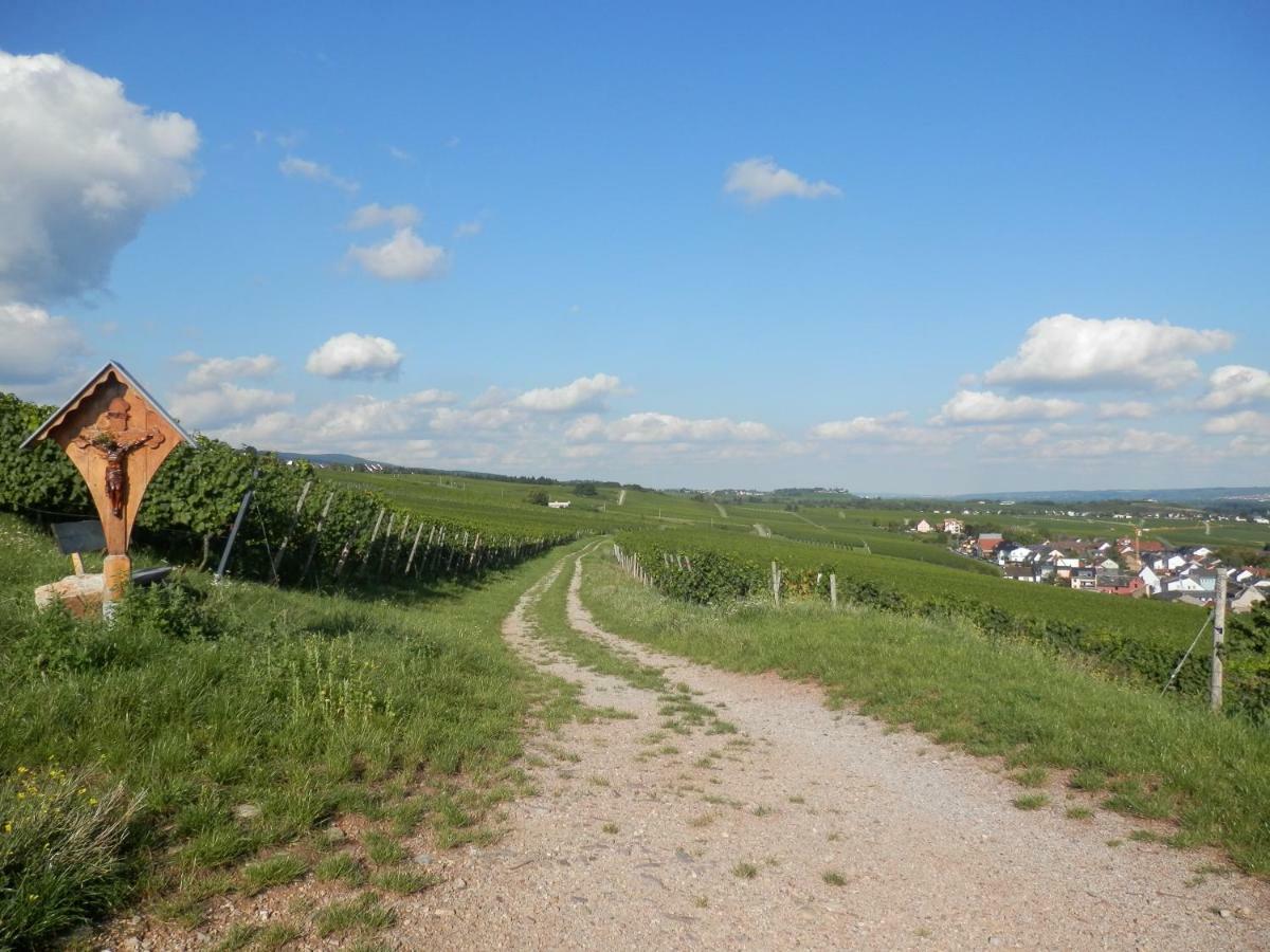 Rheingauer Fewo Am Schulhaus Geisenheim Exterior foto